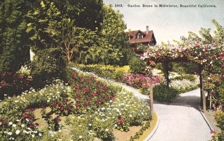 Postcard of a lush Garden Scene in Midwinter with rose archway and flower beds in California,