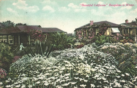 Postcard of "Beautiful California" Bungalows in Winter with lush flower gardens, San Jose,