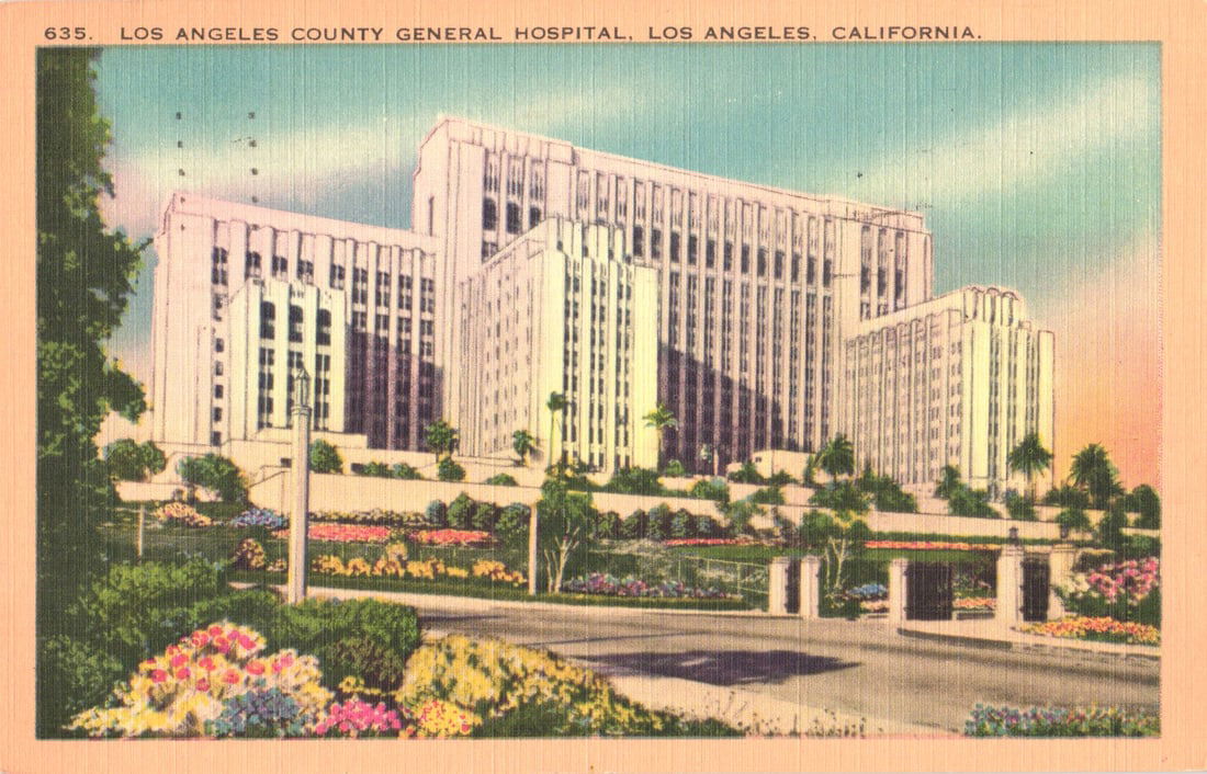Linen Postcard of the Los Angeles County General Hospital exterior and grounds, Los Angeles,: You are bidding on an original postcard and not a reprint. Please view photos for further description and condition considerations. Please know the scans may be darker or lighter than the actual item'