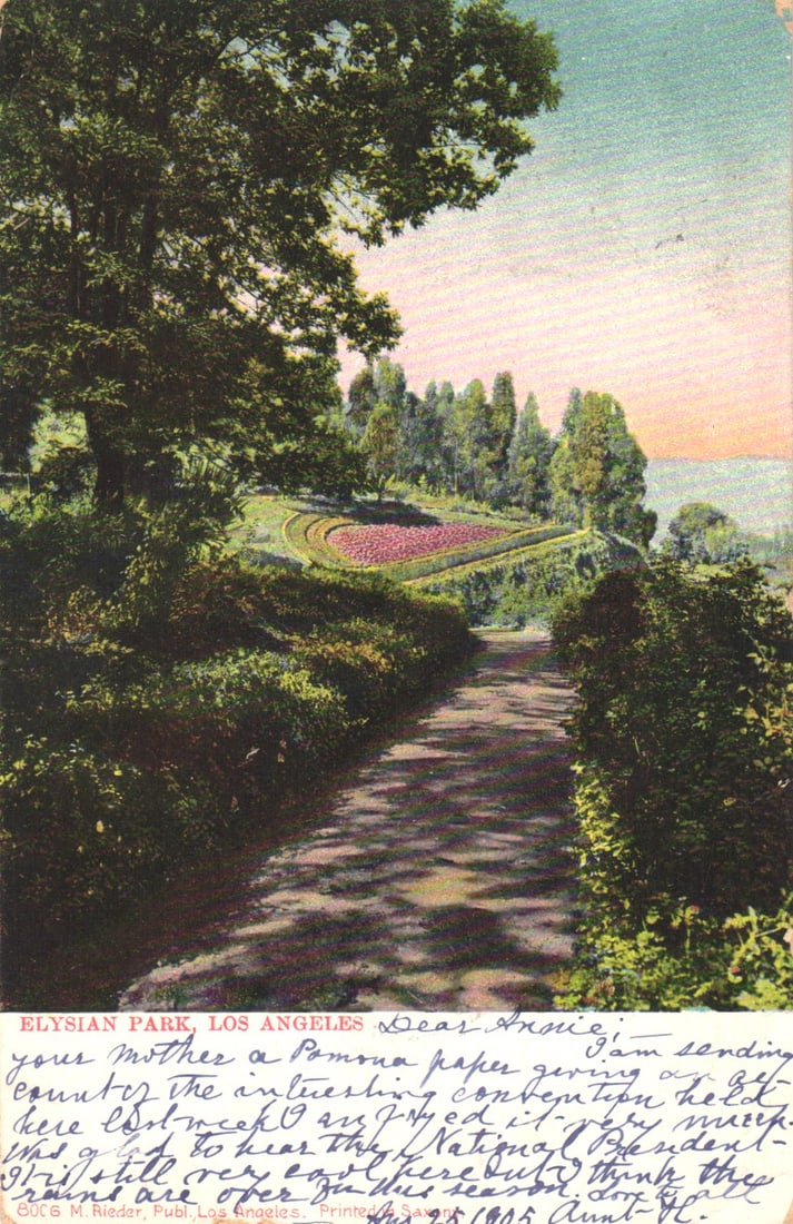 Postcard showing a scenic pathway and garden beds in Elysian Park, Los Angeles, California 1905 (1 of 2)