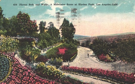 Postcard showing Flower Beds and Walks, a Midwinter Scene at Elysian Park, Los Angeles, California.