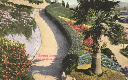 Postcard view of a winding path with palm tree in Elysian Park, Los Angeles, California circa 1912.
