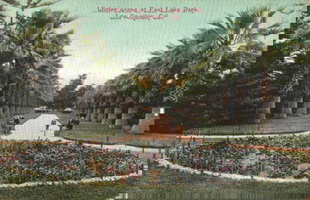 Postcard of the palm tree lined path in winter at East Lake Park, Los Angeles, California c. 1910s