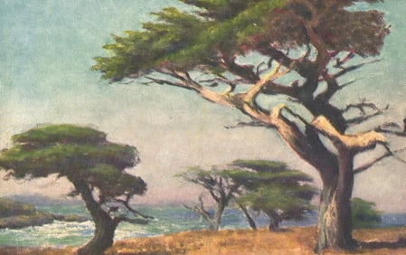 Postcard showing Wm. Adam's painting 'Rugged With Age' of Monterey Cypress trees, California coast.