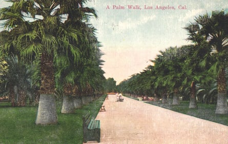Postcard showing a Palm Walk in Los Angeles, California with people on benches, circa 1920s view.
