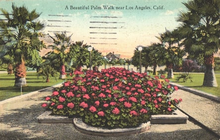 Postcard showing a beautiful palm walk with red geraniums near Los Angeles, California, c. 1927.