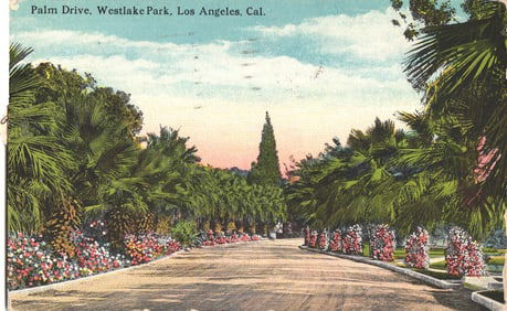 Postcard showing Palm Drive with lush palm trees and flowers in Westlake Park, Los Angeles,