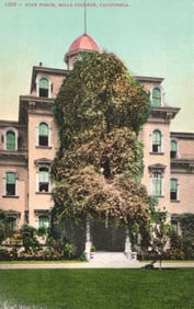 Postcard showing the vine-covered Rose Porch at Mills College, Oakland, California, early 1900s.