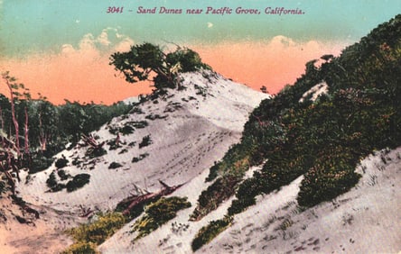 Postcard showing the Sand Dunes near Pacific Grove, California. Published by Edward H. Mitchell c.