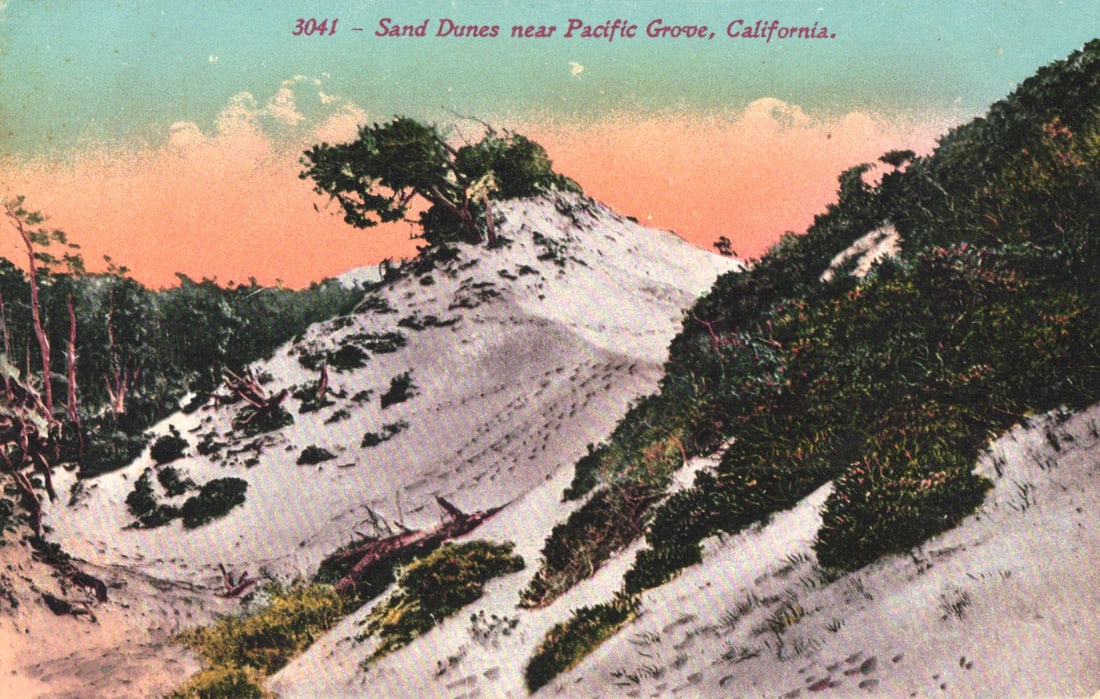 Postcard showing the Sand Dunes near Pacific Grove, California. Published by Edward H. Mitchell c.: You are bidding on an original postcard and not a reprint. Please view photos for further description and condition considerations. Please know the scans may be darker or lighter than the actual item'