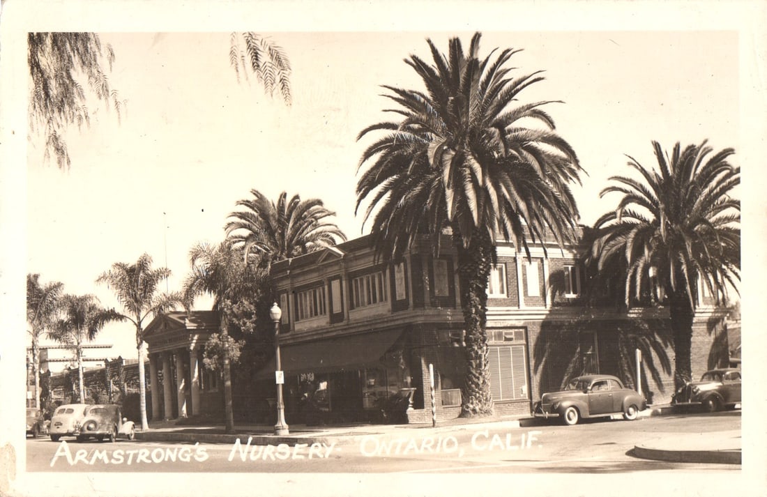 RPPC Real Photo Postcard view of Armstrong's Nursery building with large palm trees in Ontario, (1 of 2)