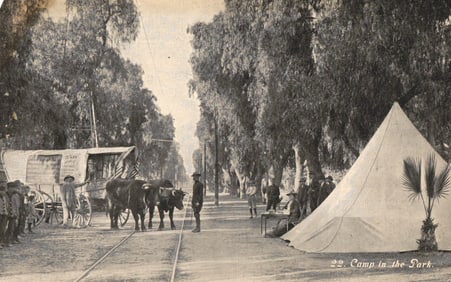 Postcard of the 1910 Oregon Trail Monument Expedition camp with oxen on Euclid Ave, Ontario,