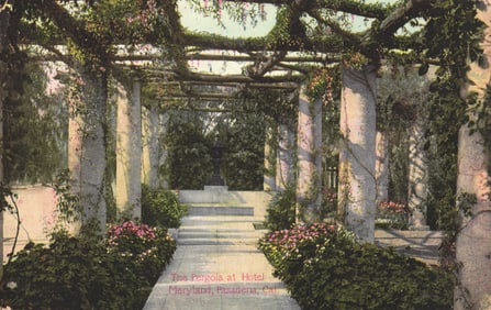 Postcard showing the beautiful Pergola covered in vines at Hotel Maryland, Pasadena, California c.