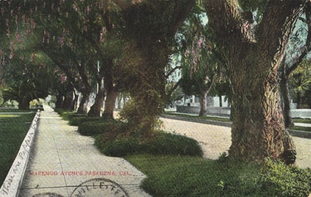 Postcard depicting the lush, mature trees lining the sidewalk and street on Marengo Avenue in