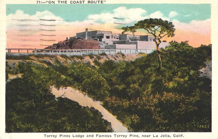 1927 Postcard of the Torrey Pines Lodge and Famous Torrey Pine on the Coast Route in La Jolla,