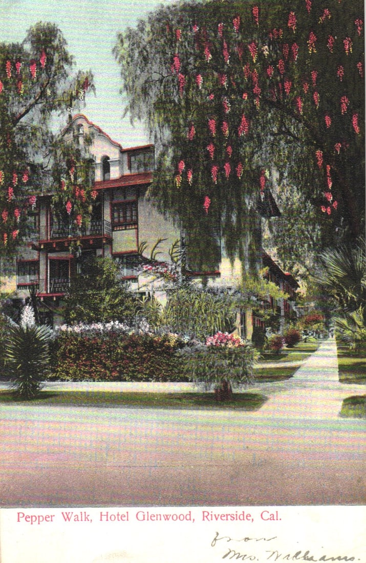 Postcard showing the Pepper Walk and Hotel Glenwood gardens in Riverside, California, posted 1906.: You are bidding on an original postcard and not a reprint. Please view photos for further description and condition considerations. Please know the scans may be darker or lighter than the actual item'