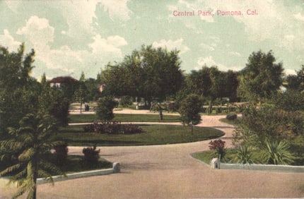 Postcard showing the pathways and gardens of Central Park in Pomona, California. Early 1900s view.