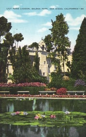 Postcard of the Lily Pond Lagoon with water lilies at Balboa Park in San Diego, California c. 1940s