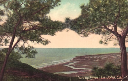 Postcard view of the Pacific Ocean coast from "Torrey Pines" in La Jolla, California, circa 1910s.