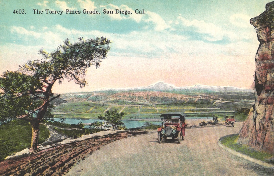Postcard showing early automobiles driving on the scenic Torrey Pines Grade road in San Diego,: You are bidding on an original postcard and not a reprint. Please view photos for further description and condition considerations. Please know the scans may be darker or lighter than the actual item'