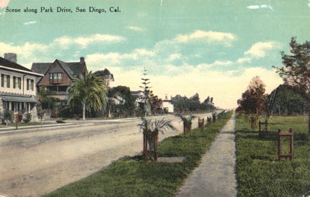 Postcard showing a scenic view along Park Drive with residential homes in San Diego, California