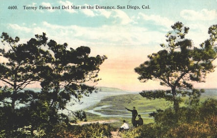 Postcard showing the coastal view from Torrey Pines, Del Mar in the distance, San Diego, California.