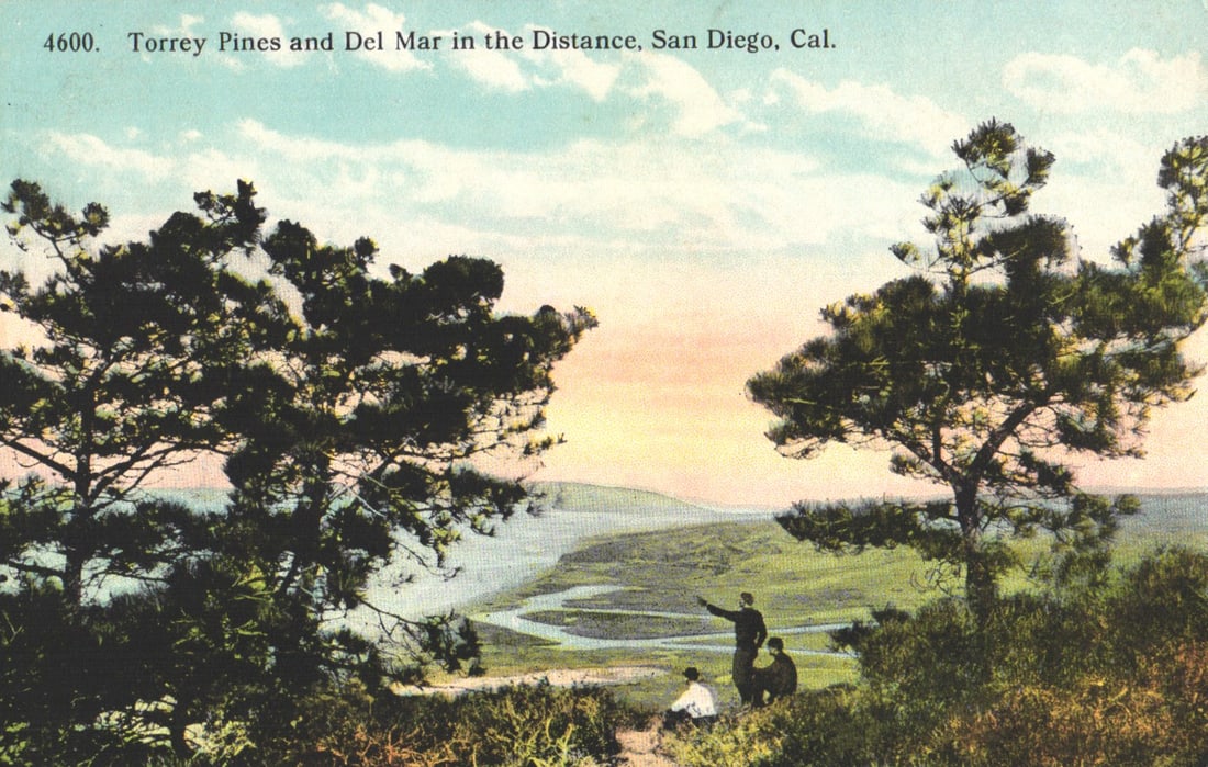 Postcard showing the coastal view from Torrey Pines, Del Mar in the distance, San Diego, California. (1 of 2)