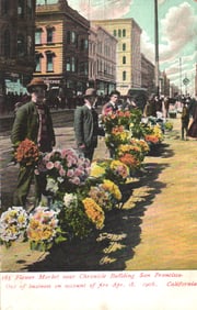 Postcard showing the Flower Market near the Chronicle Building in San Francisco, California