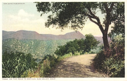 Detroit Publishing Co. Phostint postcard view of the Road to Matilija, Ojai Valley, California.