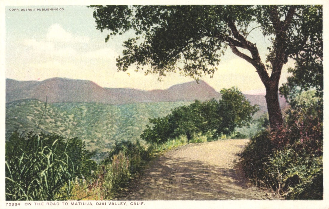 Detroit Publishing Co. Phostint postcard view of the Road to Matilija, Ojai Valley, California.: You are bidding on an original postcard and not a reprint. Please view photos for further description and condition considerations. Please know the scans may be darker or lighter than the actual item'