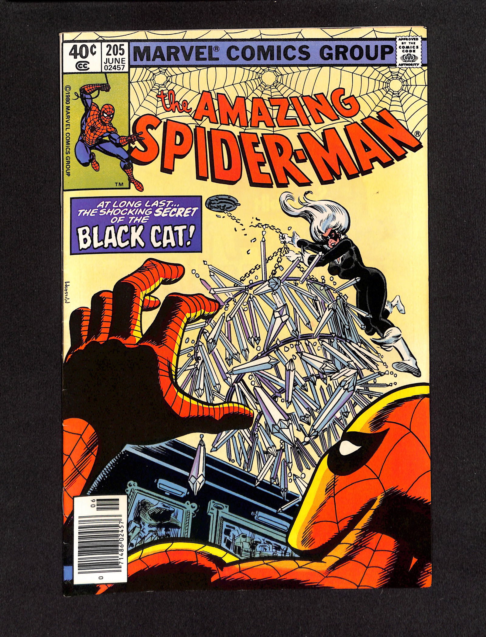 Amazing Spider-Man #205 Marvel Comics 1980 comic book Black Cat appearance Newstand Variant (1 of 2)