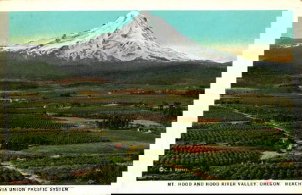 Union Pacific System postcard of Mt. Hood and Hood River Valley, Oregon with lush orchards c. 1920s