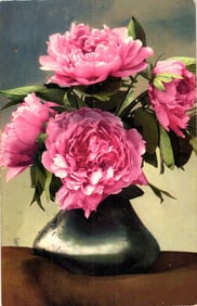 German Photochromie postcard of a lovely bouquet of pink peonies in a dark vase, circa 1910s.