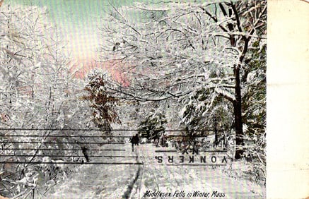 Hugh C. Leighton Co. postcard of a snowy winter scene in Middlesex Fells, Massachusetts c. 1907