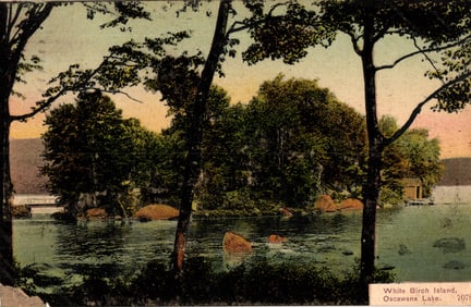 Postcard showing a scenic view of the tree-covered White Birch Island, Oscawana Lake, NY c. 1907.