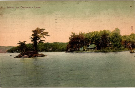 Postcard showing a scenic view of an island with a cabin on Oscawana Lake, New York, c. 1907