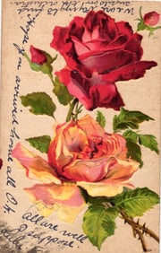 Postcard of embossed red and yellow roses with handwritten greetings, postmarked New York circa 1908
