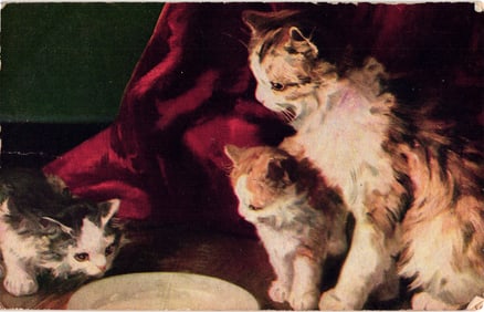 Charming color postcard of a mother cat with two kittens gathered around a saucer, posted 1907.