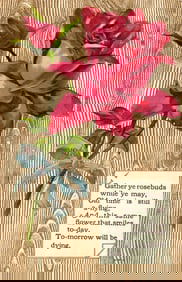 Embossed Postcard Red Rose & Blue Bow with "Gather Ye Rosebuds" Poem on Wood Grain Background c.