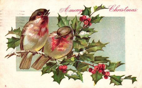 A Merry Christmas postcard featuring two small birds sitting on a festive holly branch, circa 1906.