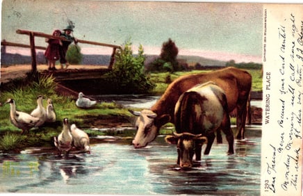 Ullman Mfg. Co. postcard, "Watering Place" scene with cows, geese, children on a bridge, c. 1904