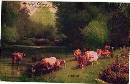 1902 W. C. Carpenter copyright postcard of 'Eventide' pastoral scene with cows by a stream at dusk.