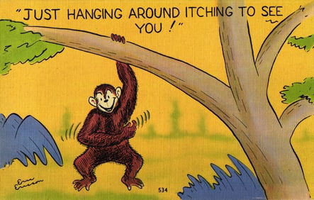 Linen Postcard Comic Cartoon Monkey Hanging from Tree Itching To See You by Eric Ericson c. 1940s