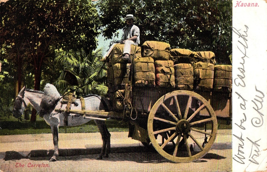 Havana street scene postcard: A man rides a carreton cart pulled by a horse, 1909 era. (1 of 2)