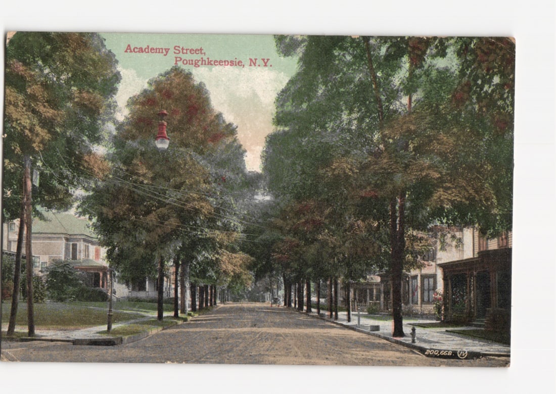 Academy Street, Poughkeepsie, N.Y. tree-lined view, early 20th-century postcard.: A view of Academy Street in Poughkeepsie, New York, featuring a tree-lined thoroughfare. The perspective looks down the street, with residential buildings visible on both sides through the dense folia