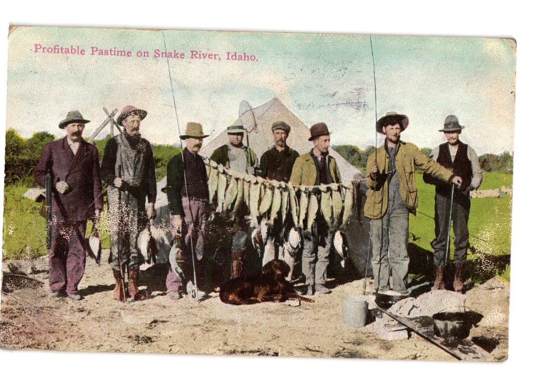 Vintage Postcard of Fishermen and Dog with Profitable Catch on Snake River, Idaho: Eight men and a dark-colored dog are depicted outdoors, standing in front of a tent, displaying a substantial catch of fish. The fish are strung on horizontal lines. The men wear various styles of hat