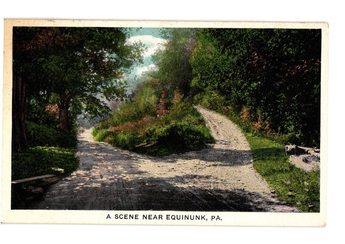 Early 20th Century Chromolithograph Postcard: Wooded Road Fork, Equinunk, Pennsylvania: A wooded landscape features a dirt or gravel road dividing into two distinct paths, both receding into dense foliage. Lush green trees and undergrowth dominate the scene, with sunlight illuminating se