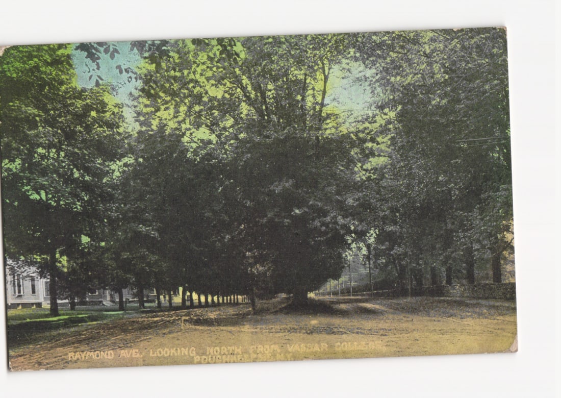 Poughkeepsie, N.Y. Raymond Avenue Tree-lined Campus View Postcard, Early 20th Century (1 of 2)