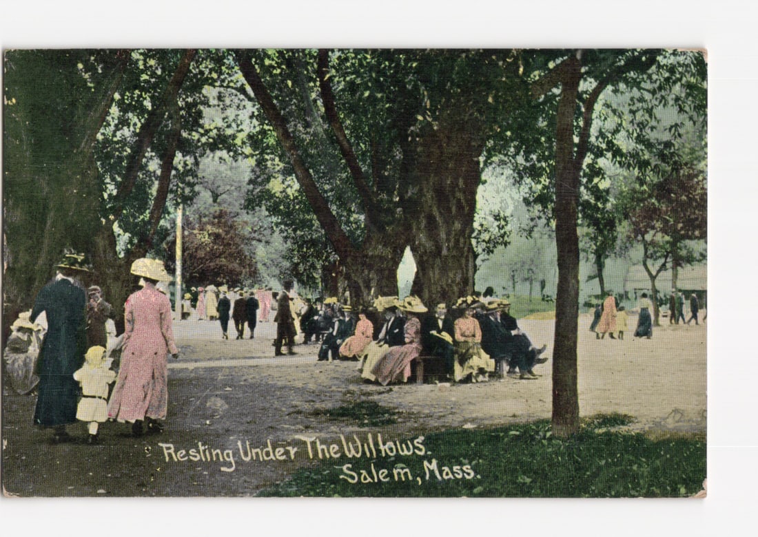 Early 20th Century postcard depicting people resting under willows in Salem, Massachusetts.: A colorized photograph or chromolithograph depicts a park scene dominated by numerous large, mature trees, likely willows, forming a dense canopy overhead. Many individuals, dressed in early 20th-cent