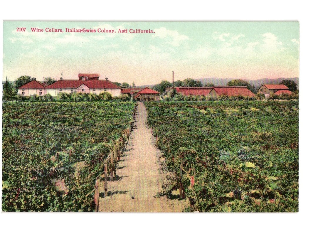 Wine Cellars, Italian Swiss Colony, Asti California Vineyard Landscape postcard: A panoramic view of the Wine Cellars, Italian Swiss Colony in Asti, California. A wide vineyard dominates the foreground and midground, with rows of grapevines leading towards a collection of building